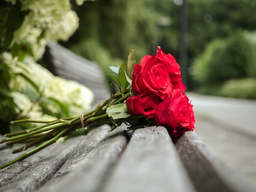 A close-up of a bouquet of vibrant red roses lying on a wooden park bench, with lush green trees and blurred foliage in the background. The roses are fresh, with slightly open petals and green stems b