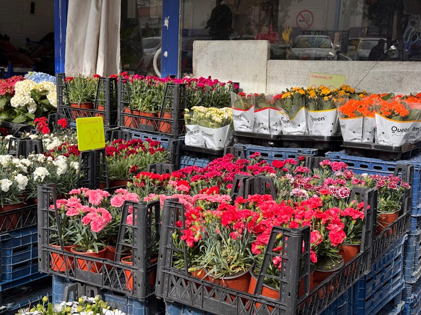 An outdoor display of vibrant potted flowers arranged on black plastic crates, featuring pink, white, red, orange, and yellow blossoms. The flowers include carnations and chrysanthemums, with some in 